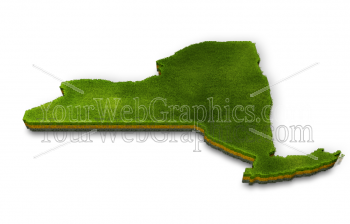 illustration - new_york_3d_grass-png